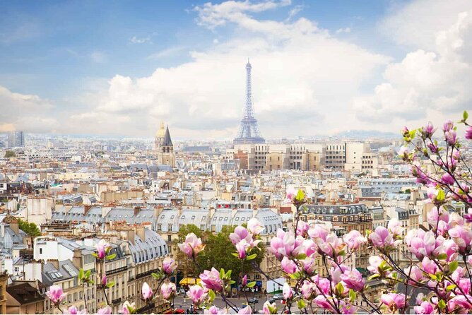 paris-small-group-tour-from-london-eiffel-tower-champagne-lunch