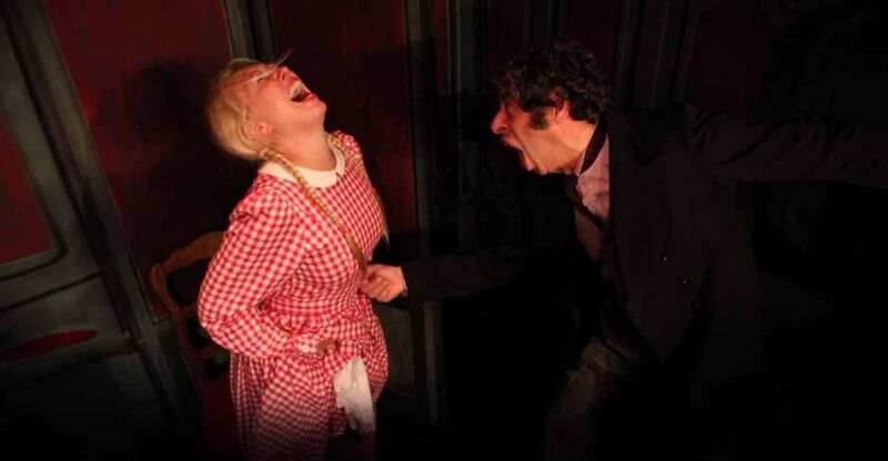 paris-theatre-package-the-lesson-the-bald-soprano