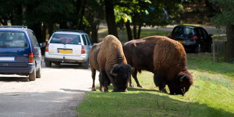 paris-thoiry-castle-and-safari-park-private-tour