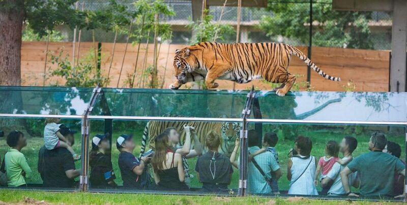 paris-thoiry-castle-and-safari-park-private-tour