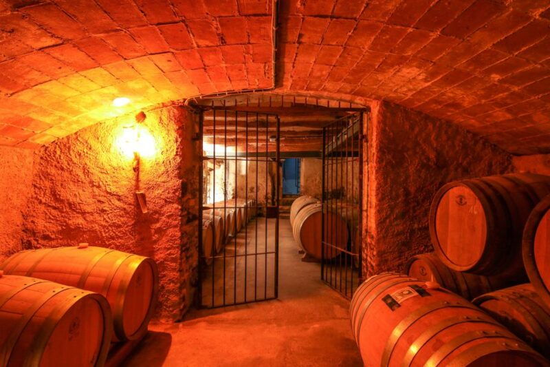 paris-two-reims-champagne-vineyards-with-tastings-and-lunch