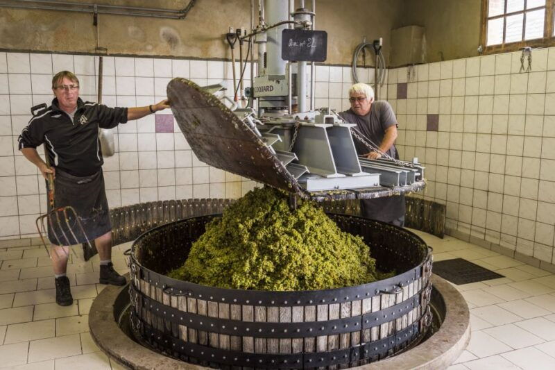 paris-two-reims-champagne-vineyards-with-tastings-and-lunch