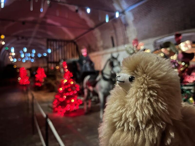 paris-vaux-le-vicomte-private-guided-tour