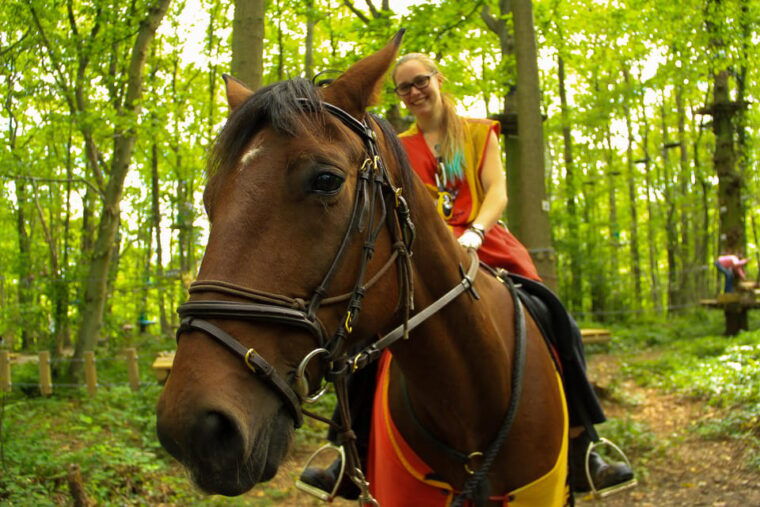 paris-viarmes-sherwood-parc-entry-ticket