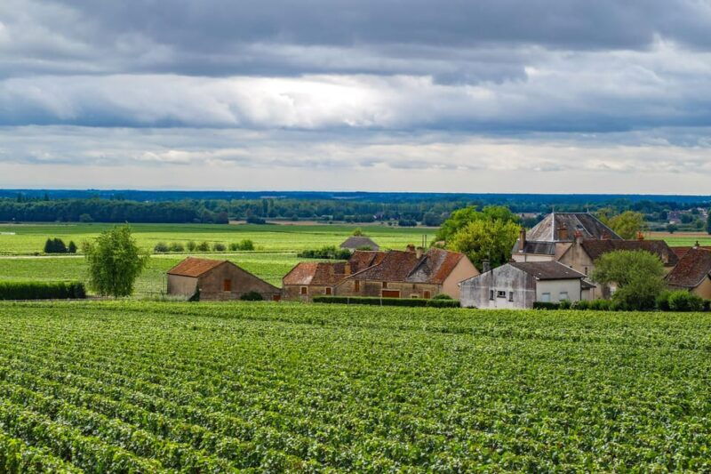 paris-vip-burgundy-wine-region-chauffeur-driven-tour-14-hrs