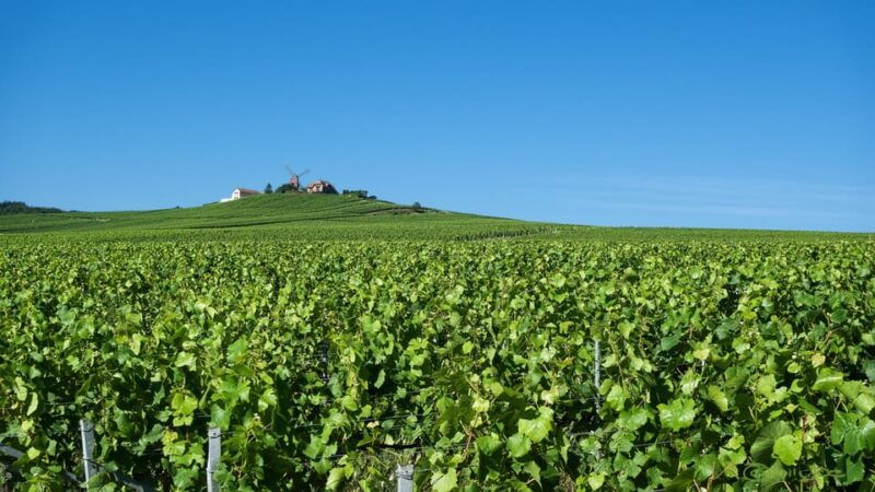 paris-vip-champagne-region-private-chauffeur-driven-12hrs