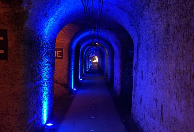 paris-wine-day-tours-all-inclusive-champagne-tour-from-paris