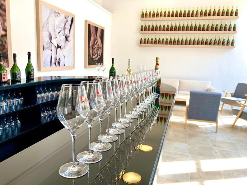 paris-wine-day-tours-all-inclusive-champagne-tour-from-paris