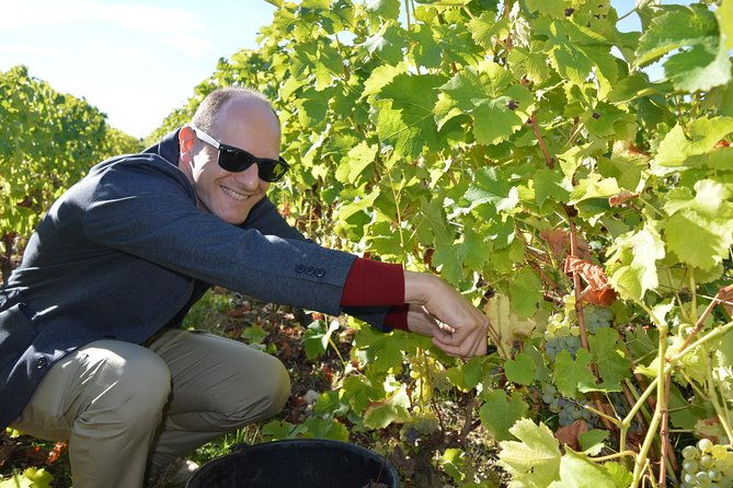 paris-wine-day-tours-exclusive-champagne-tour-incl-3-visits