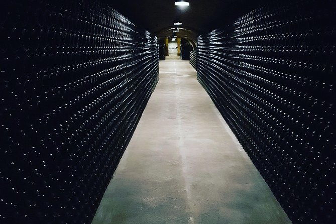 paris-wine-day-tours-exclusive-champagne-tour-incl-3-visits