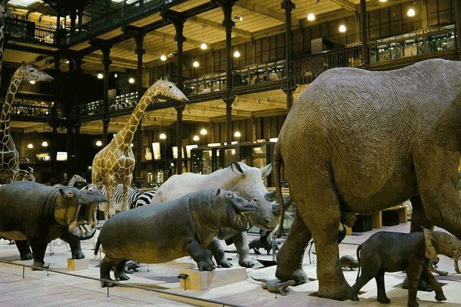 paris-with-kids-custom-and-private-half-day-tour