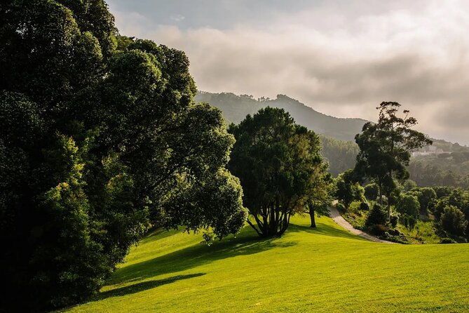 park-and-palace-of-monserrate