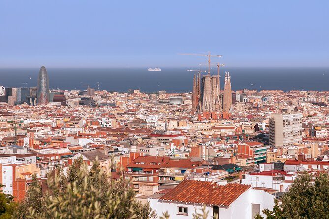 Park Guell Guided Group Tour with Optional Sagrada Familia - A Closer Look at the Tour Experience