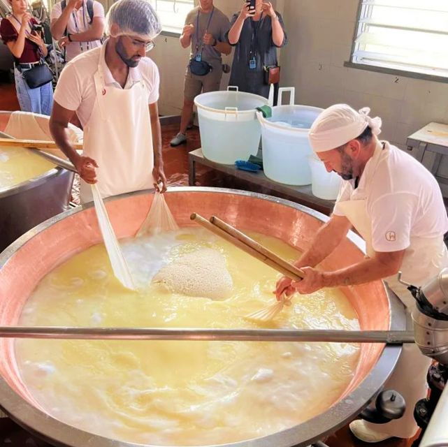 parma-cheese-ham-wineyard-tour-with-tastings
