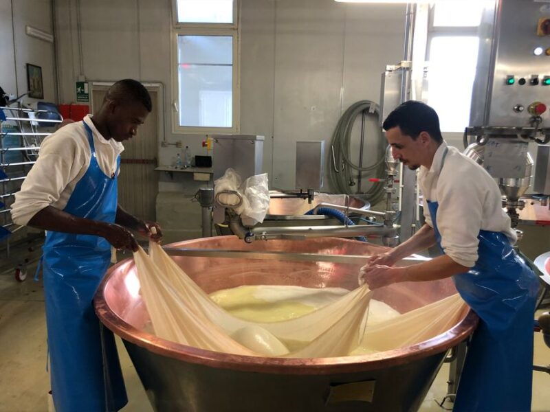 parma-food-tour-parmigiano-reggiano-prosciutto-di-parma-2