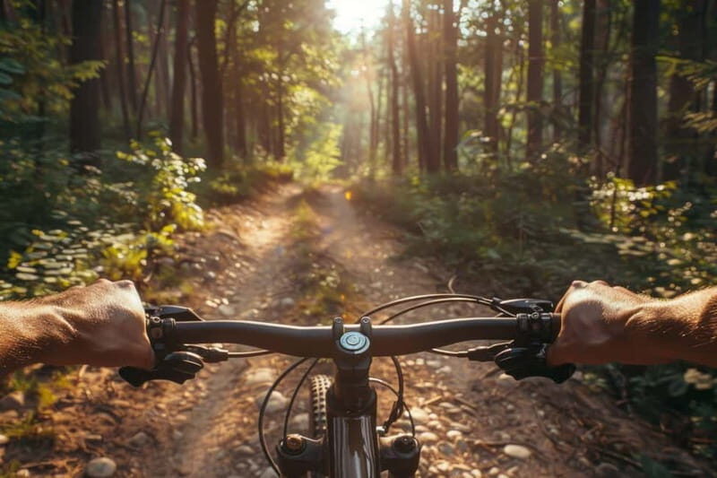 Parma or 5 Terre: E-Bike Tour w/ Parmigiano and Ham Dinner - FAQ