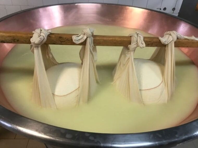 parma-parmigiano-production-and-parma-ham-tour-tasting