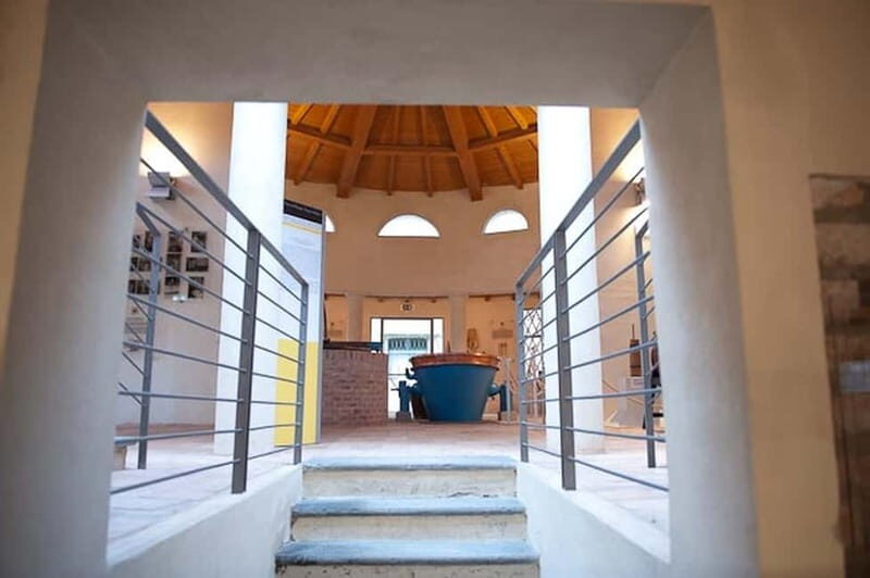 Parma: Parmigiano Reggiano Museum Ticket - Exploring the Parmigiano Reggiano Museum: A Cheesy Journey Through Italy’s Culinary Heart