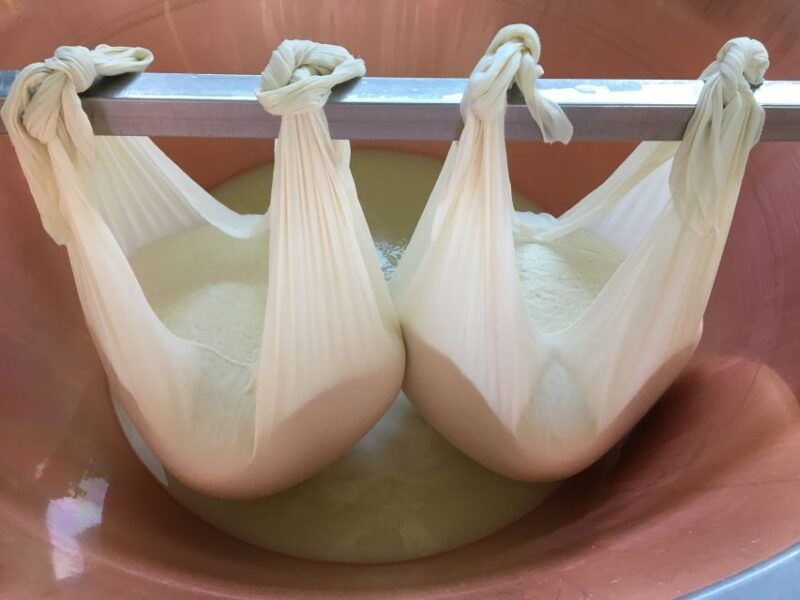 parma-parmigiano-reggiano-tour-and-tasting