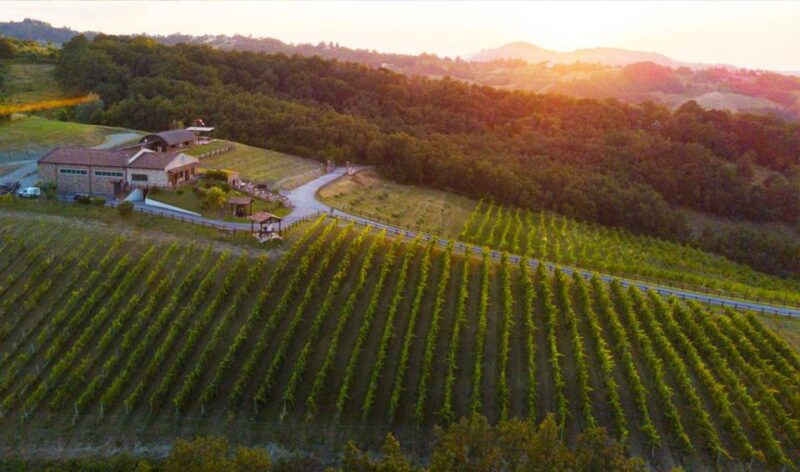 parma-winery-tour-and-tasting