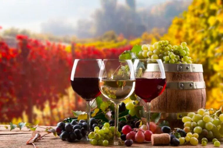 parma-winery-tour-and-tasting