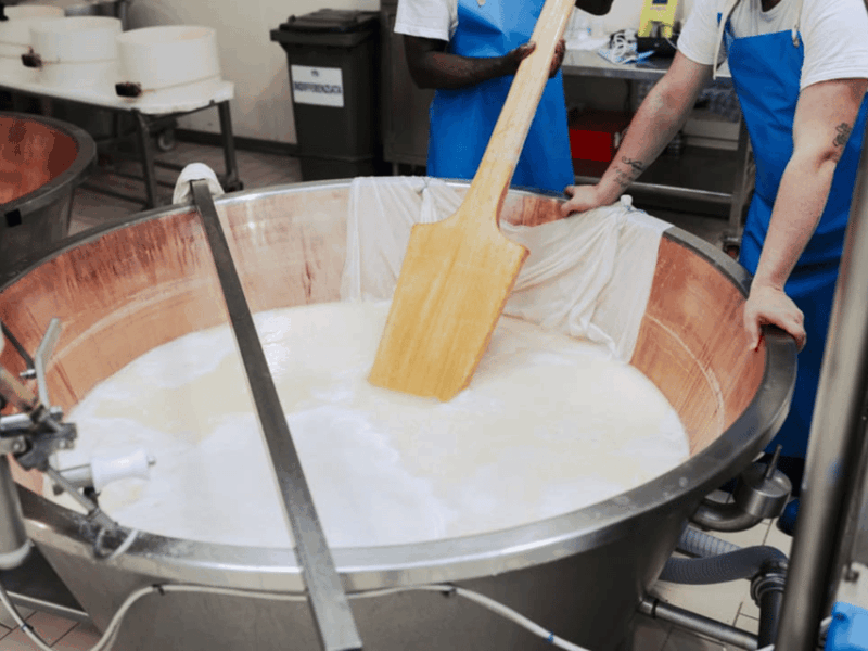 parmesan-cheese-factory-tour-tasting-near-parma