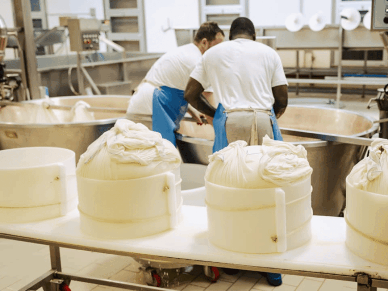parmesan-cheese-factory-tour-tasting-near-parma