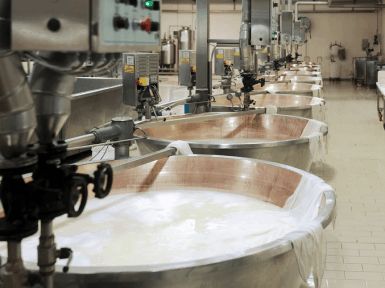 parmesan-cheese-factory-tour-tasting-near-parma