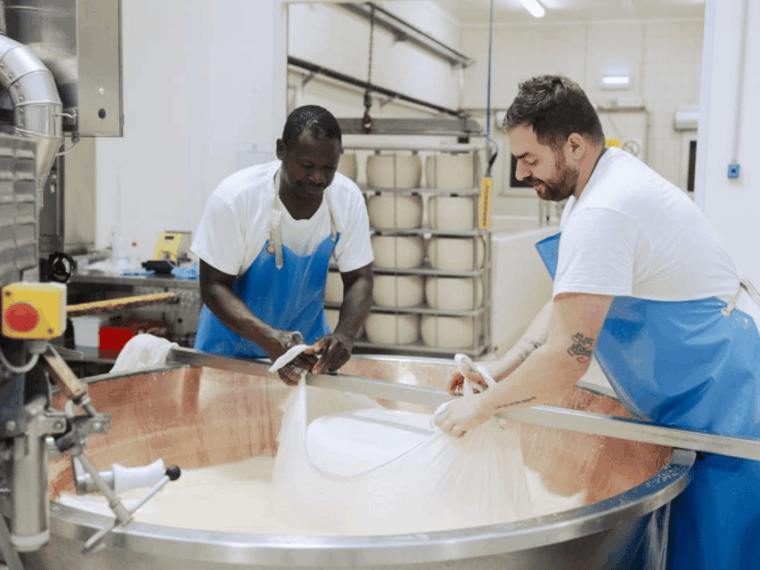 parmesan-cheese-factory-tour-tasting-near-parma