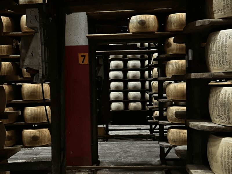 Parmesan Cheese Tour & Tasting close to Modena - A Close Look at the Parmesan Cheese Tour Experience