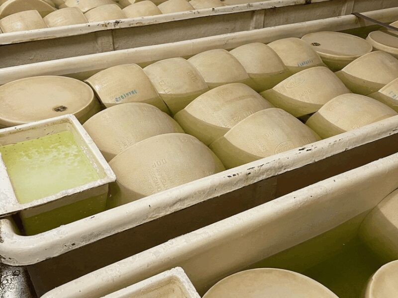 Parmesan Cheese Tour & Tasting close to Modena - Frequently Asked Questions