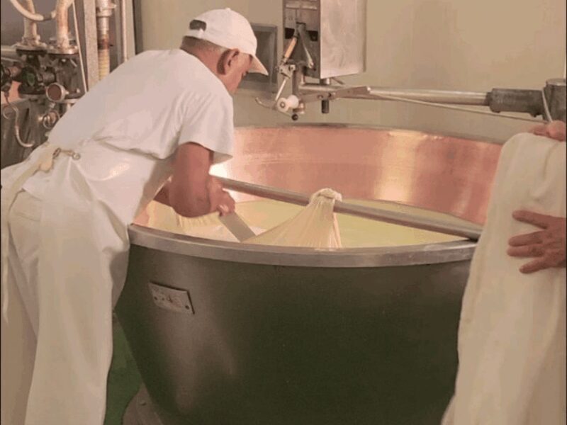 Parmesan Cheese Tour & Tasting near Modena - FAQ