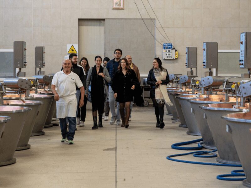 Parmesan Factory Tasting & Tour in Formigine, near Modena - What to Expect on the Tour  