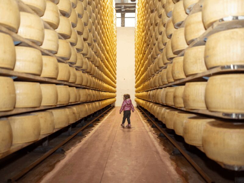 Parmesan Factory Tasting & Tour in Formigine, near Modena - The Food and Drink Pairings  