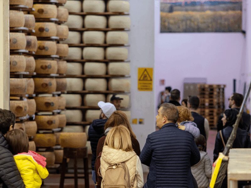 Parmesan Factory Tasting & Tour in Formigine, near Modena - The Sum Up  
