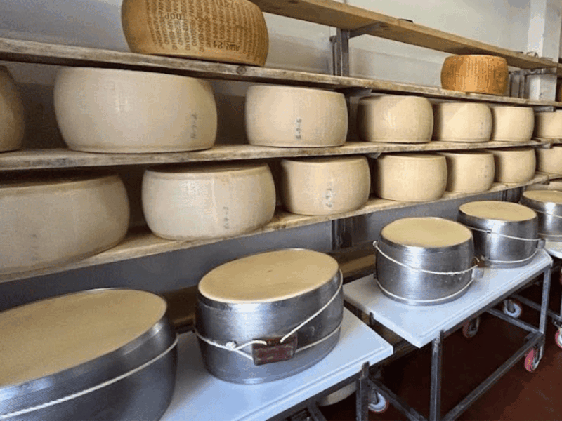 parmesan-wheels-near-parma-tasting-factory-tour