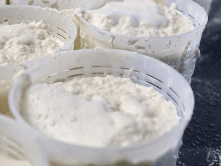 parmesan-wheels-near-parma-tasting-factory-tour