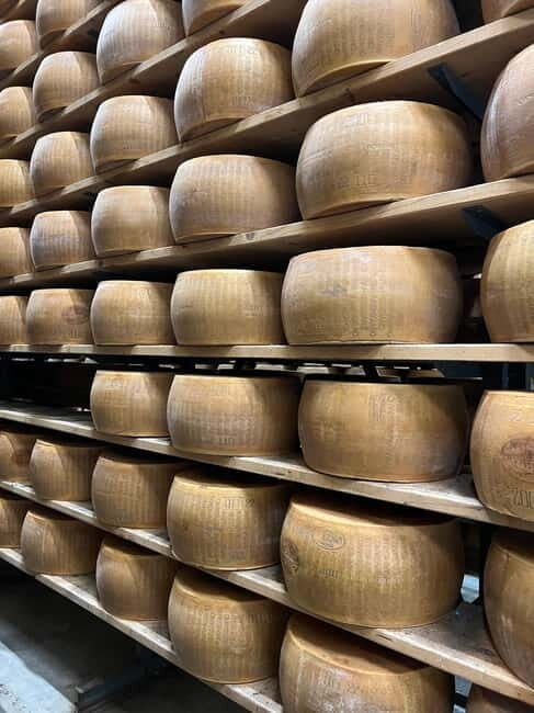 Parmesan, Wine, Balsamic Full Day Tour with Lunch - Exploring the Flavors of Emilia-Romagna: Parmesan, Wine, & Balsamic Full Day Tour