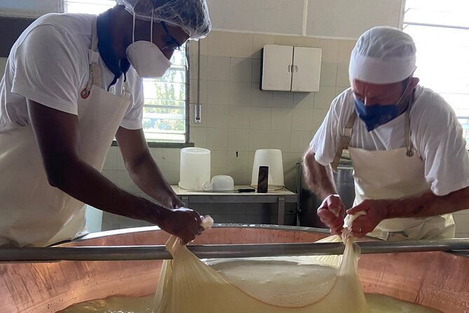 parmigiano-reggiano-cheese-factory-small-group-tour-from-parma