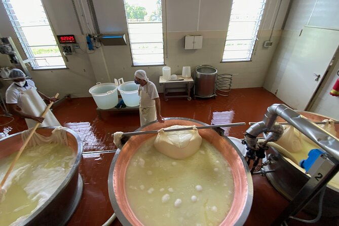 parmigiano-reggiano-cheese-factory-small-group-tour-from-parma