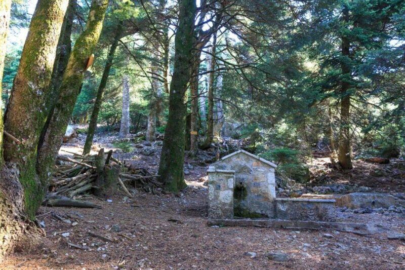 parnitha-parnis-skipiza-mola-loop-hike-near-athens