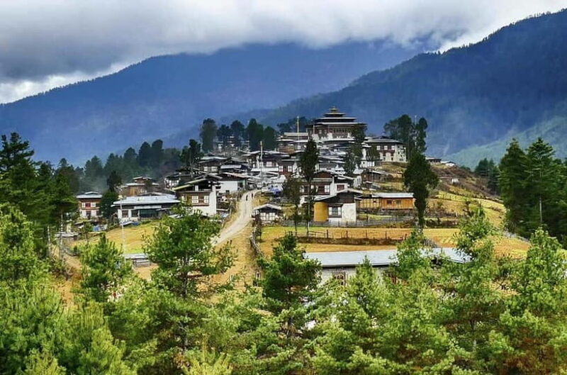 Paro: Culture and Nature 4-Day Guided Tour - An In-Depth Look at the 4-Day Itinerary