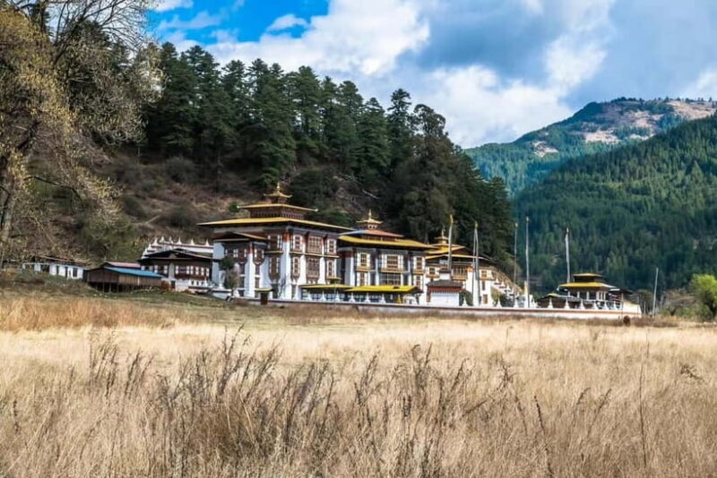 Paro: Culture and Nature 4-Day Guided Tour - Final Thoughts: Who Will Love This Tour?