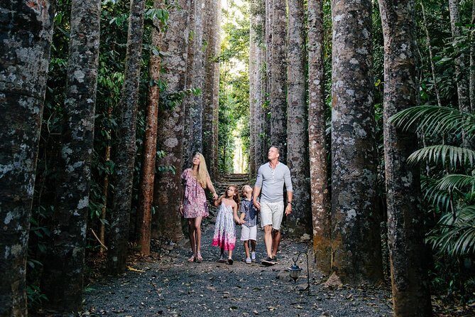 Paronella Park and Millaa Millaa Falls Full-day Tour from Cairns - Exploring the Cairns & Tropical North Full-day Tour: Paronella Park & Millaa Millaa Falls