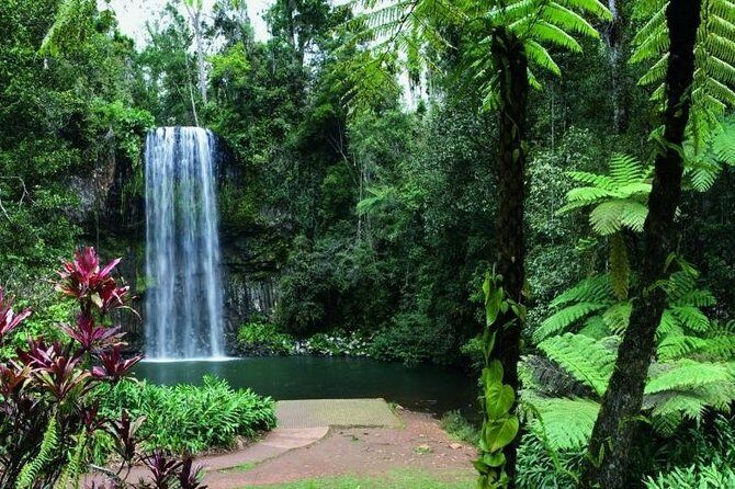 Paronella Park and Millaa Millaa Falls Full-day Tour from Cairns - Authentic Insights from Reviewers