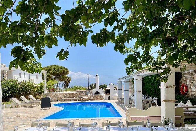 Paros: Cooking Class with Greek Meal & Wine - Final Thoughts