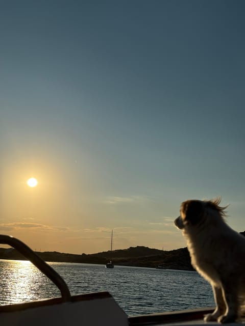 paros-highlights-tour-with-fishing-tasting-in-naoussa