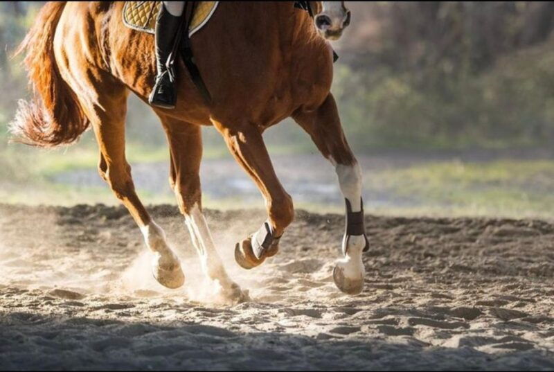 paros-morning-island-horseback-riding-adventure