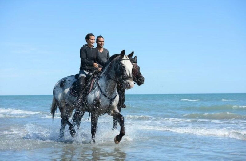 paros-morning-island-horseback-riding-adventure