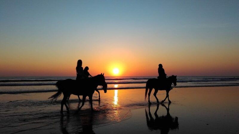 paros-morning-island-horseback-riding-adventure